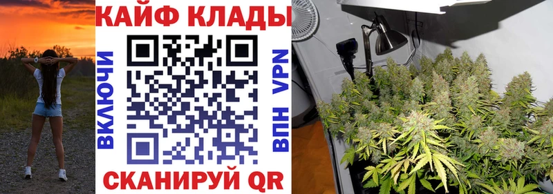 LSD-25 Почеп