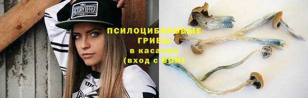 дживик Алексеевка