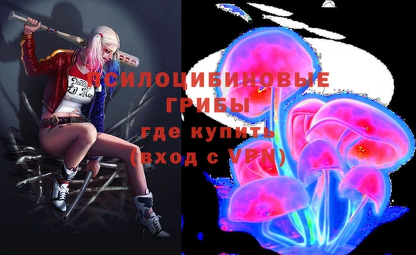 стаф Алексин