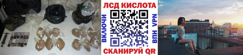 где купить наркотик  Почеп  Лсд 25 экстази ecstasy 