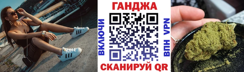 Конопля гибрид  Почеп 